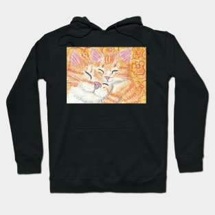 Orange tabby love cats Hoodie